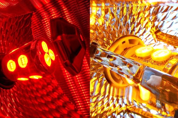 bombilla de la luz trasera